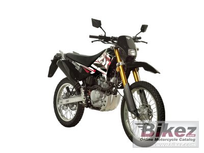 2011 Sachs ZX 125 Enduro photo